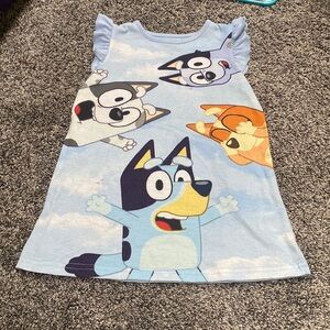 4t girls Bluey nightgown